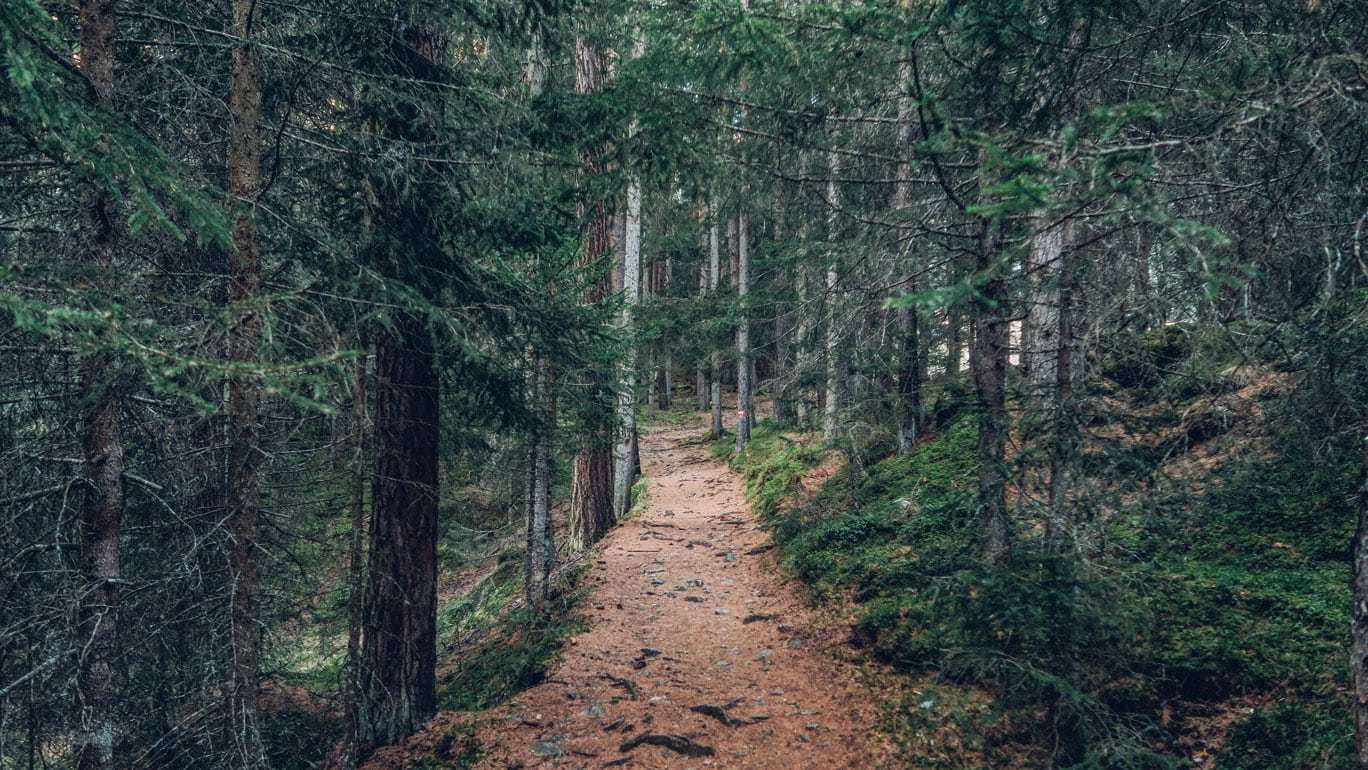 Trail Running: The Perfect Rainy Day Workout