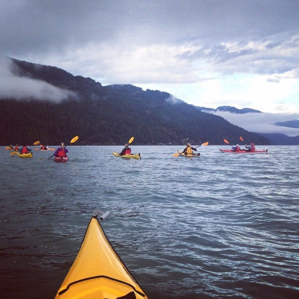 Kayaking With Eagles on the Harrison River