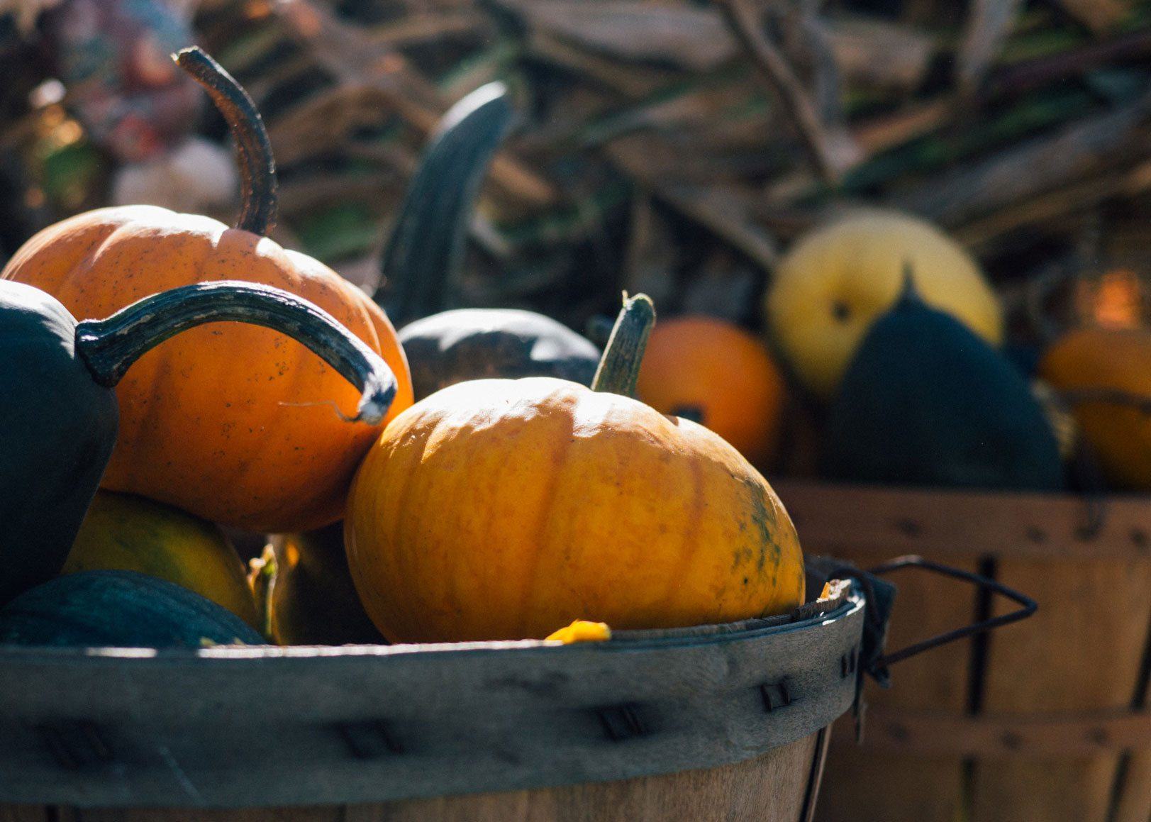Pumpkin is the Ultimate Fall Superfood