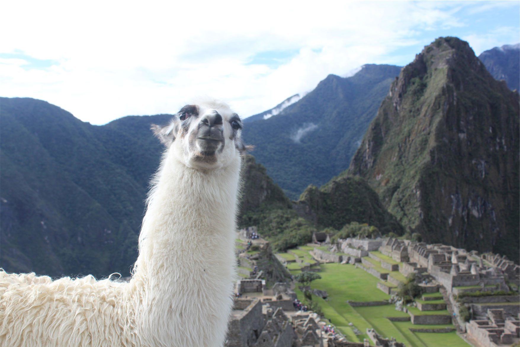 Hike Machu Picchu