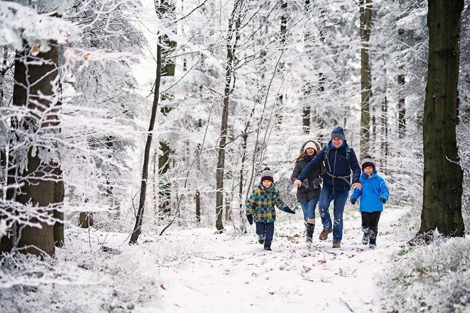 Family Day Activities in BC