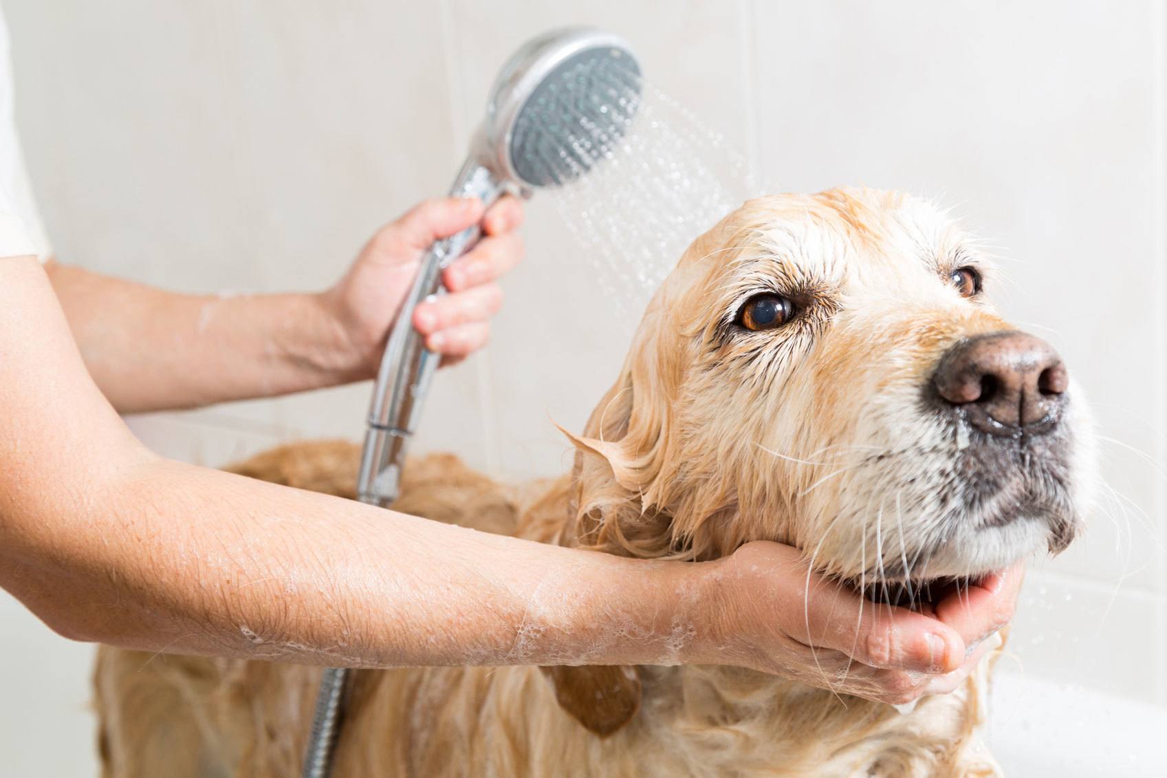 Using Cold Water to Boost Health